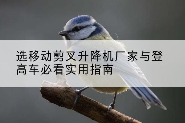 简阳电动升降机厂家-选移动剪叉升降机厂家与登高车必看实用指南