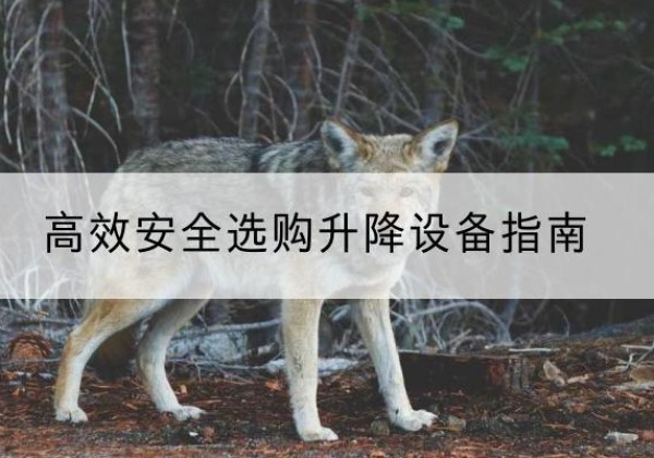 简阳升降货梯厂家推荐-*安全选购升降设备指南