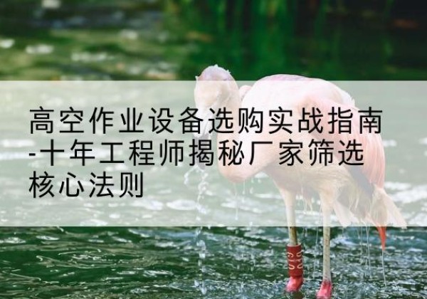 简阳剪叉式升降机厂家-高空作业设备选购实战指南-十年工程师揭秘厂家筛选核心法则